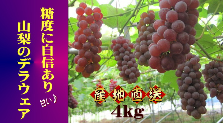 山梨デラウェア産地直送