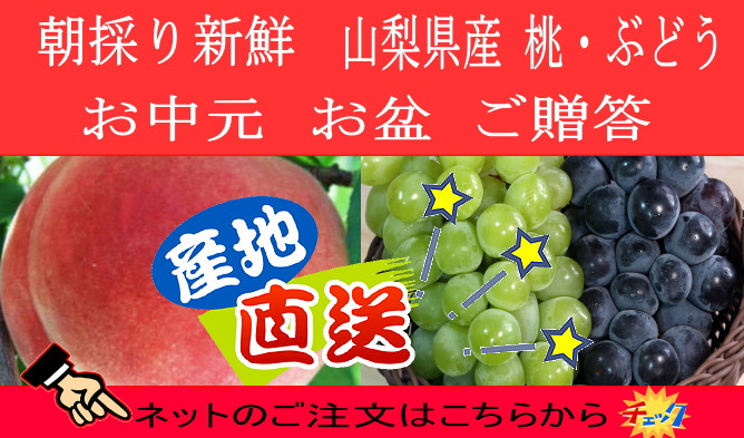 山梨県産　桃・ぶどう通販