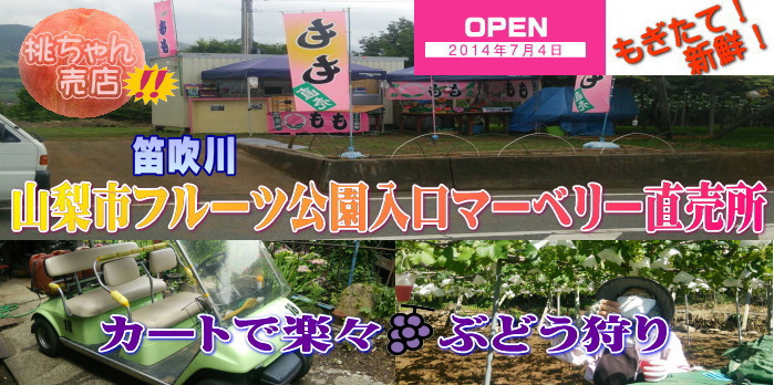 山梨市フルーツ公園前桃ちゃん売店